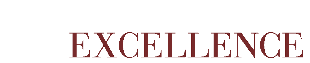 center for team excellence logo v1